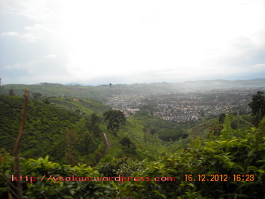 Pemandangan Sepanjang Jalur Alternatif Puncak