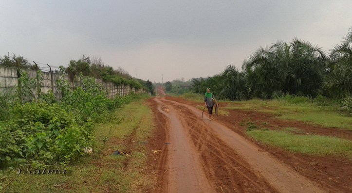 Jalan Tanah Berkelok
