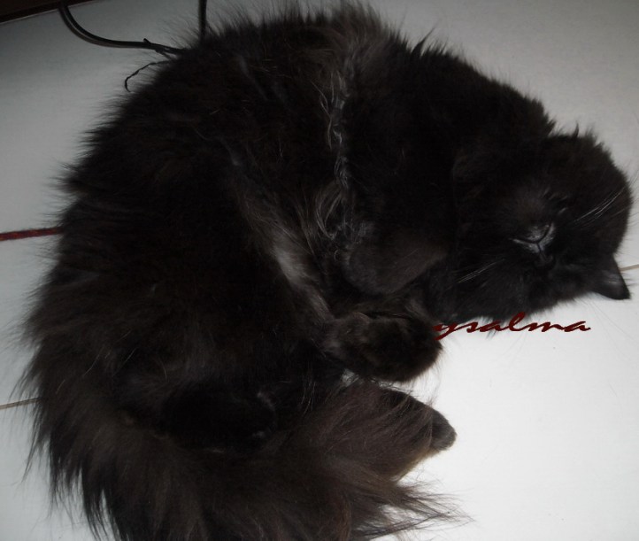 Wajah Polos Menggoda