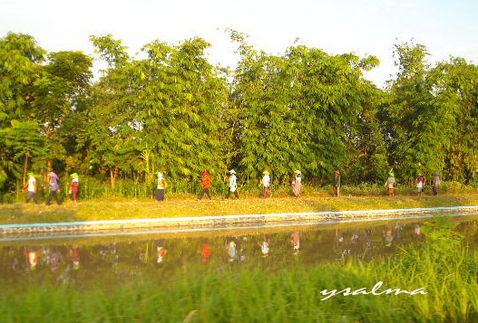 Langkah Kaki Menyongsong Hari