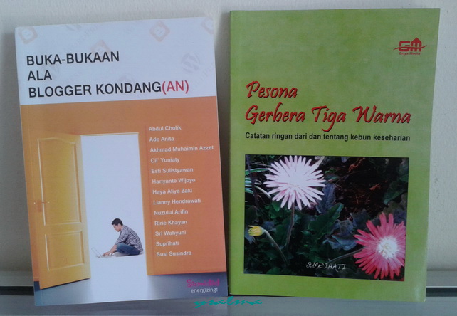 Mengagumi Pesona Gerbera Tiga Warna dan Buka-Bukaan Ala Blogger Kondang