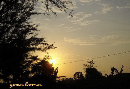 Silhouette (Bayangan)