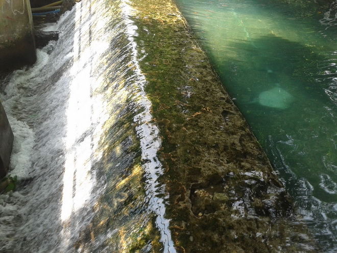 Tanggul air sebagai pintu keluar air menuju jalur irigasi.