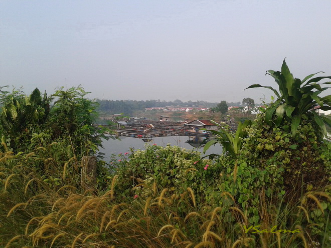 Di balik semak-semak di pinggir jalan yang di lewati, ternyata ada sebuah situ!
