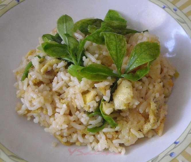 Nasi Goreng Rumahan sederhana, siap disantap :)