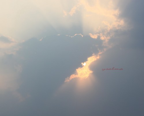 Penenang Polusi Suara