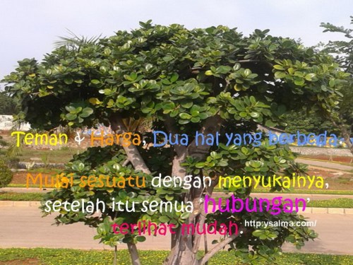 Teman dan Harga Dua Hal Yang berbeda