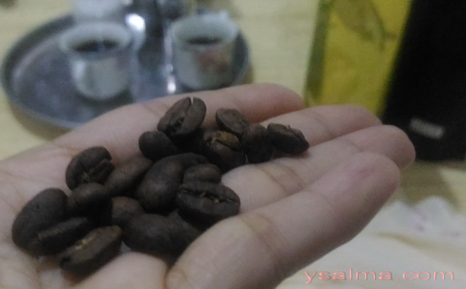 kopi-situjuah-punya-cita-rasa-khas