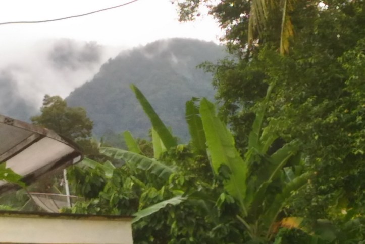 kampung-halaman-selalu-memanggil