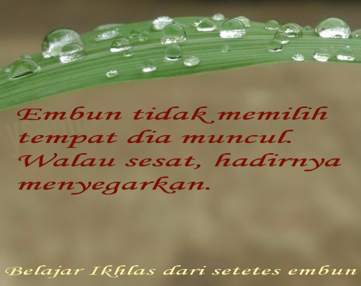 Membunuh Kekecewaan Dengan Belajar Ikhlas dari Embun
