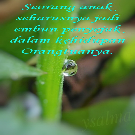 Kasih Yang Tak Berbalas