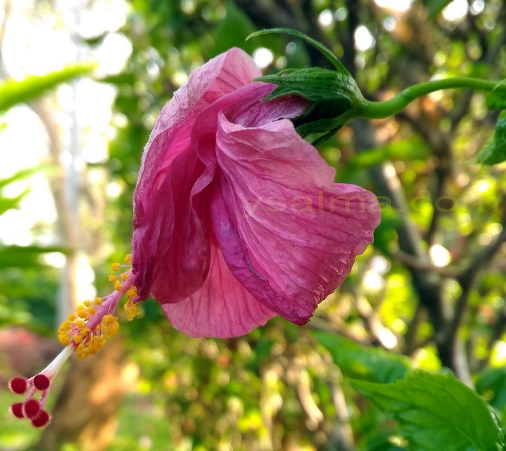 Selamat Tinggal September