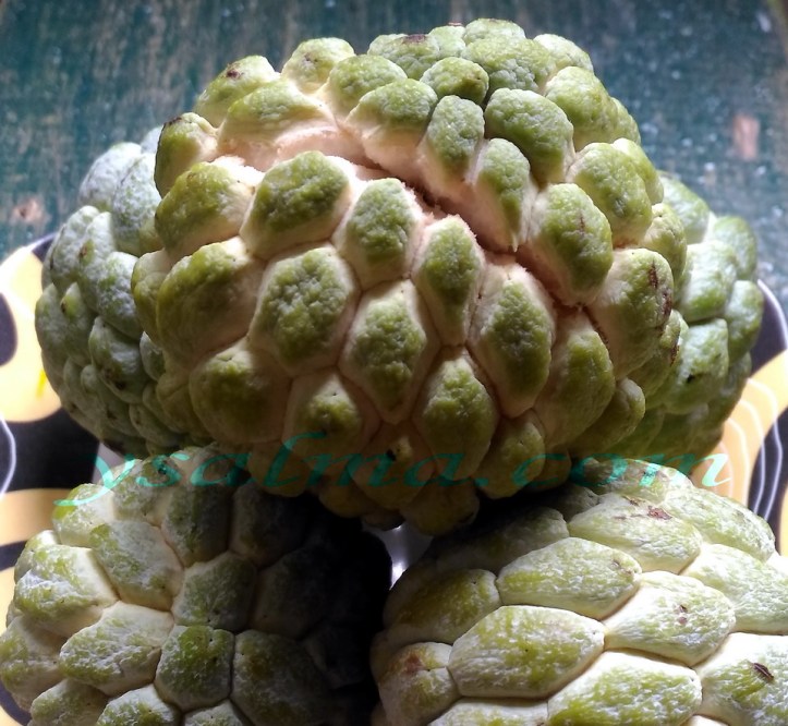 Srikaya Manis Tapi Bijinya Beracun