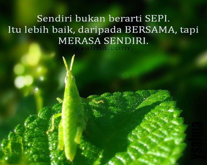 Foto Profil Kekecewaan