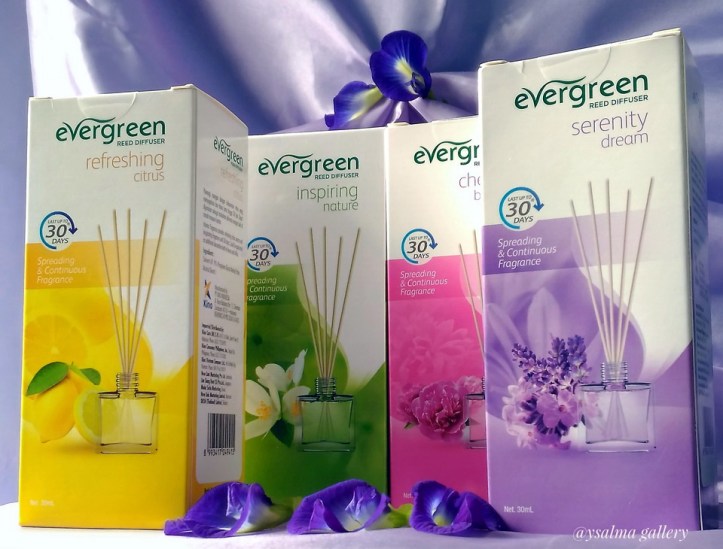 Jenis Aroma Evergreen Reed Diffuser