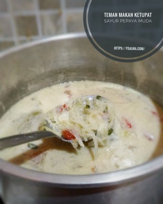 Teman Makan Ketupat Sayur Pepaya Muda - YSalma