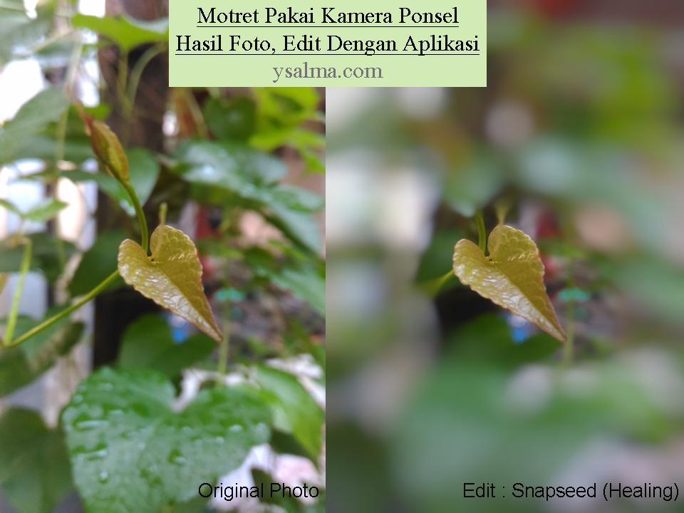 Aplikasi untuk Edit Foto Ponsel_YSalma