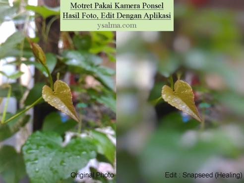 Aplikasi untuk Edit Foto Ponsel_YSalma
