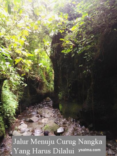 Curug Nangka Jalur Yang Dilalui_YSalma