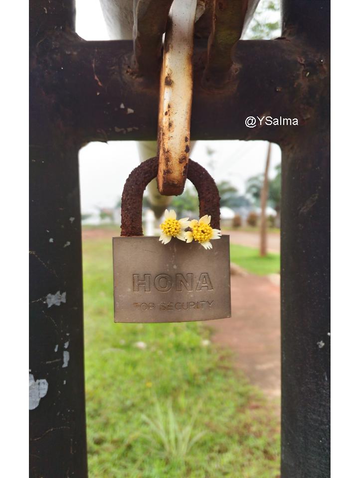 Motret Pakai Kamera Ponsel_YSalma