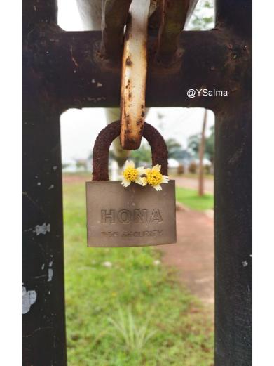 Motret Pakai Kamera Ponsel_YSalma