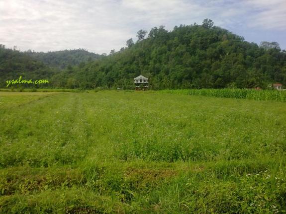 perjalanan silaturrahim