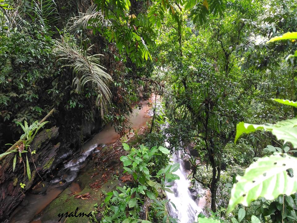 Curug Country Tertutup Dedaunan_YSalma