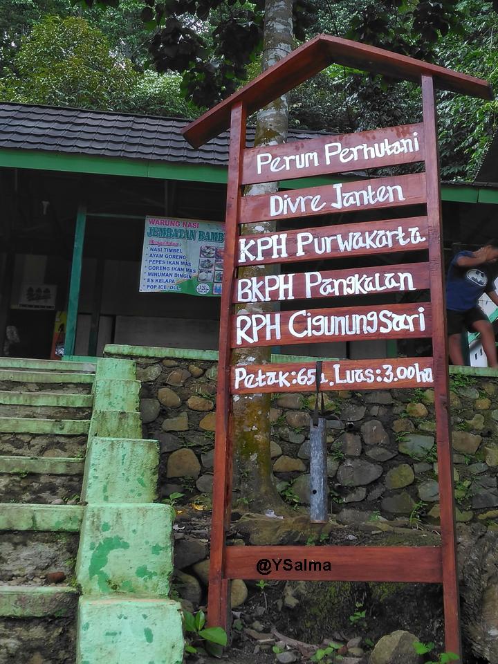 Keterangan Perum Perhutani Curug Ciomas_YSalma