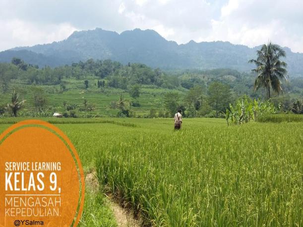 Alam Desa Hijau Tempat Kegiatan Service Learning