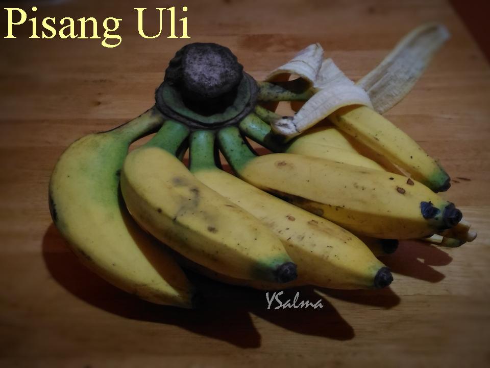 Pisang Uli Cocok Untuk Digoreng_YSalma