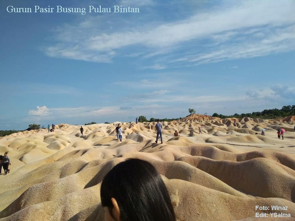 Gurun Pasir Bintan