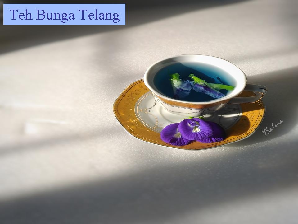 Teh Herbal Bunga Telang