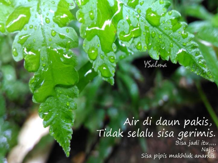 Tertipu gerimis November