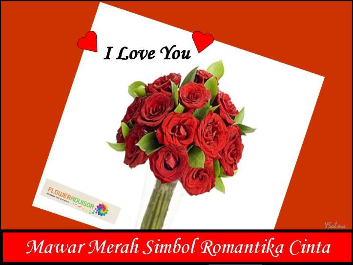 Mawar Merah Simbol Cinta Abadi