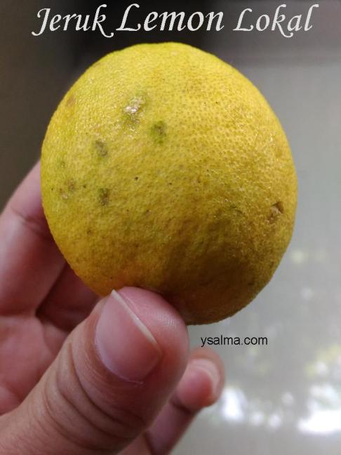Jeruk Lemon lokal kaya vitamin C
