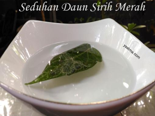 Seduhan daun sirih merah