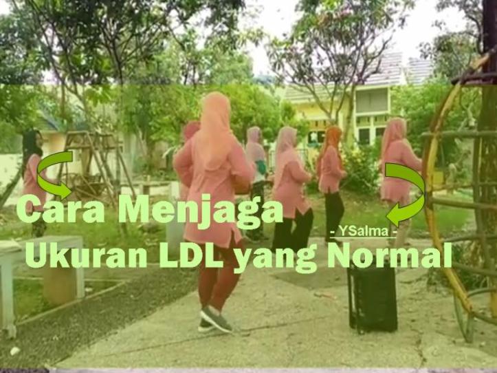 ukuran ldl yang normal bagi tubuh