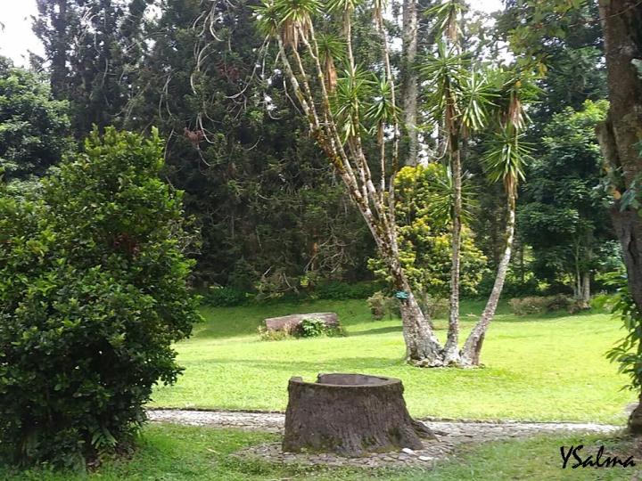 Curug Ciismun di lokasi Kebun Raya Cibodas yang terawat