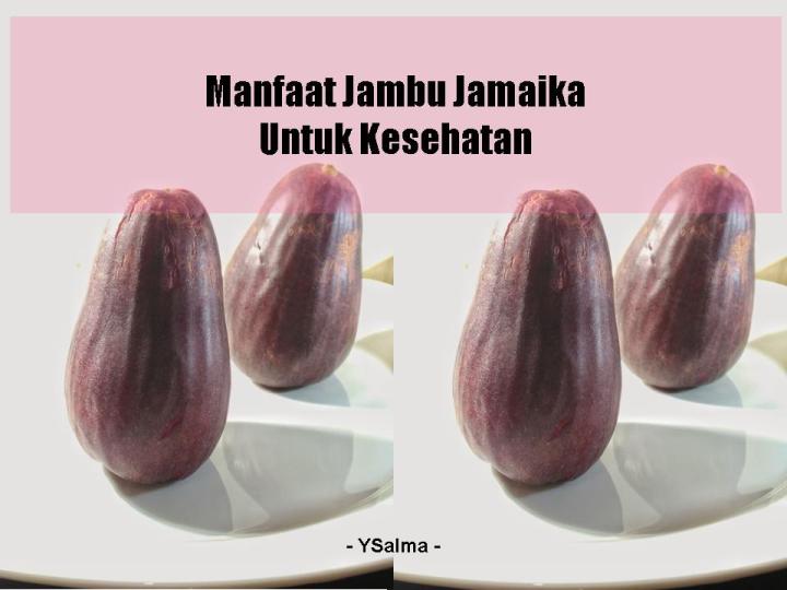 Manfaat jambu jamaikan dan khasiatnya