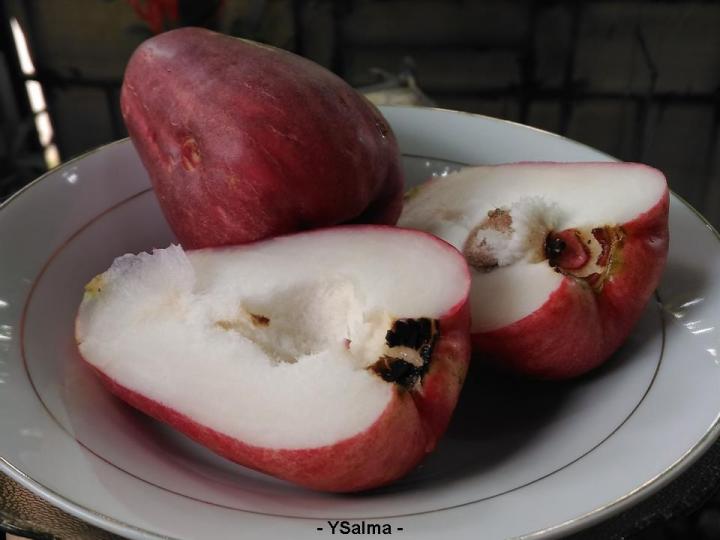 manfaat jambu jamaika daging buahnya