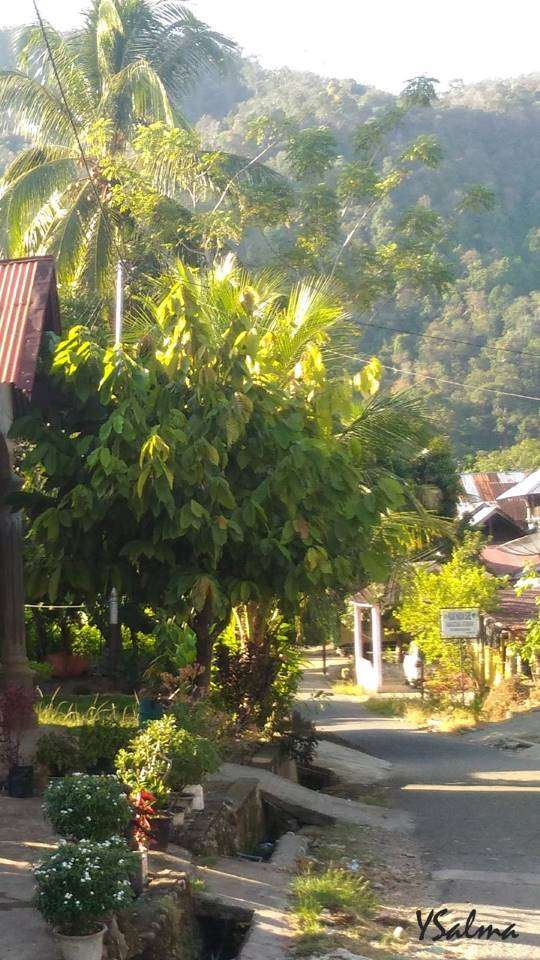 Dengar alam bernyanyi desa dekat hutan