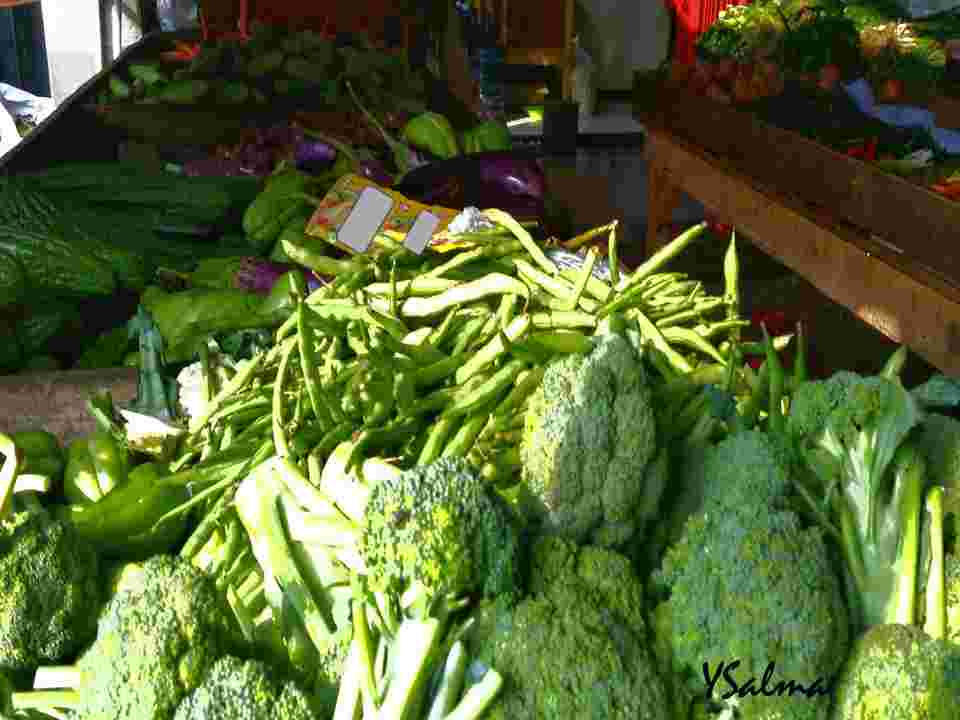 potensi beranda rumah ide bisnis jualan sayur