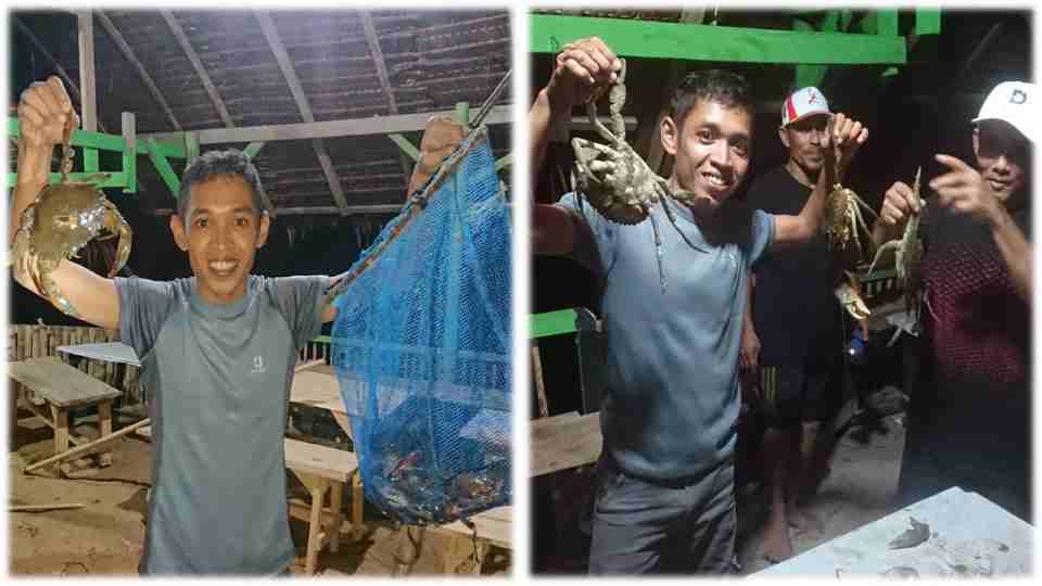 Andespin budidaya kepiting bakau di hutan mangrove