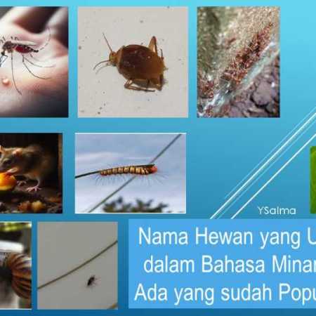 nama hewan unik dalam bahasa Minang