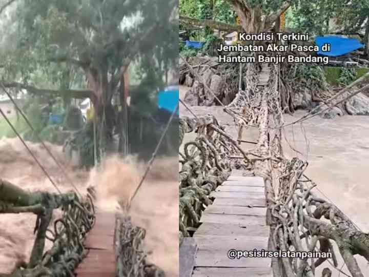 blogger care banjir sumatera jembatan akar